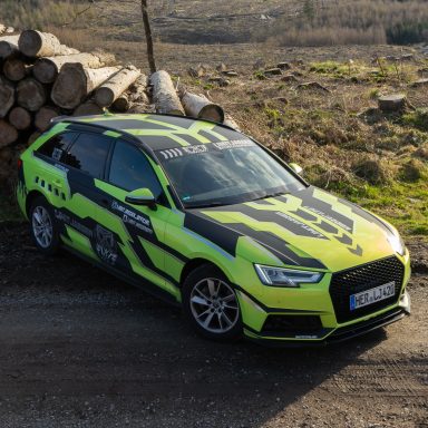 Hellgrünes Auto mit schwarzem Muster steht an einer Holzstapel in ländlicher Umgebung.